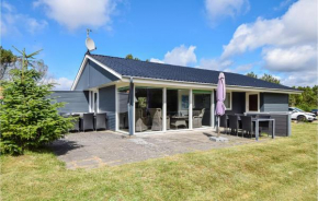 3 Bedroom Gorgeous Home In Blåvand